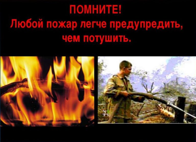 Предупредить пожары в природных экосистемах!